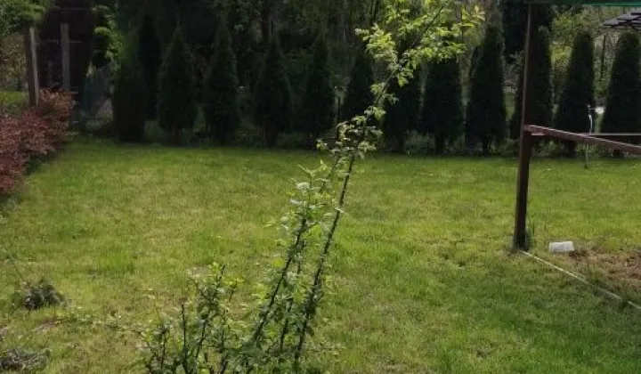 Działka rod Kraków Zwierzyniec, ul. Do Przystani