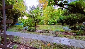 Działka rod Poznań Winogrady, ul. Kazimierza Pułaskiego