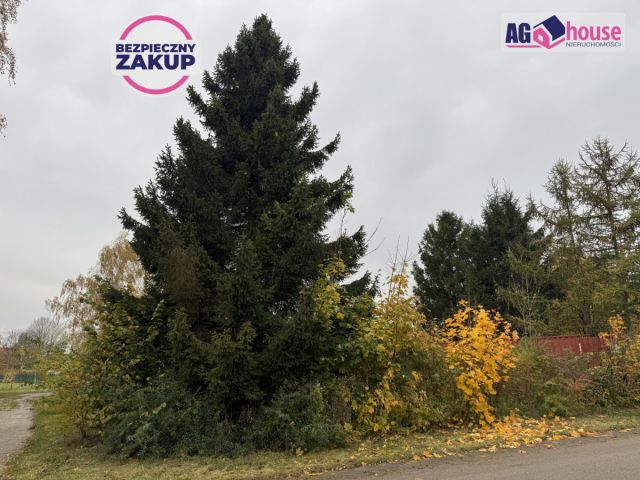 Działka inwestycyjna Mosty, ul. Hebanowa. Zdjęcie 5