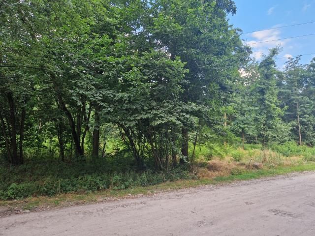 Działka budowlana Kobyłka Piotrówek. Zdjęcie 4