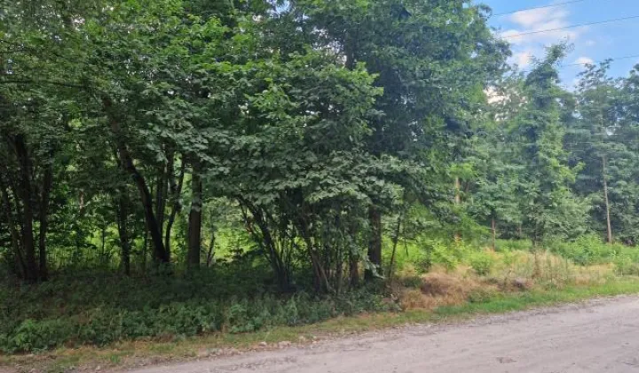 Działka budowlana Kobyłka Piotrówek