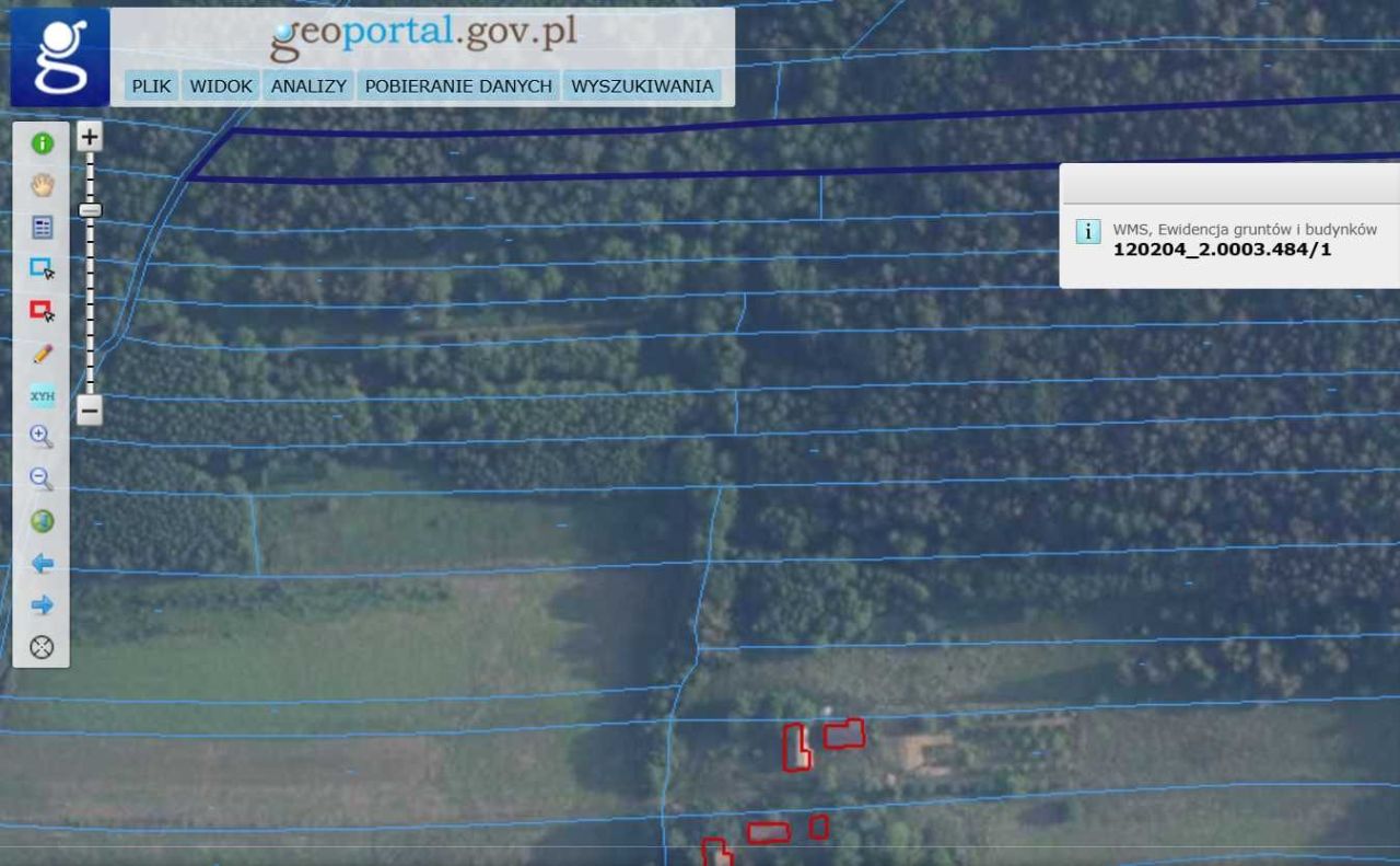 Działka leśna Doły. Zdjęcie 2