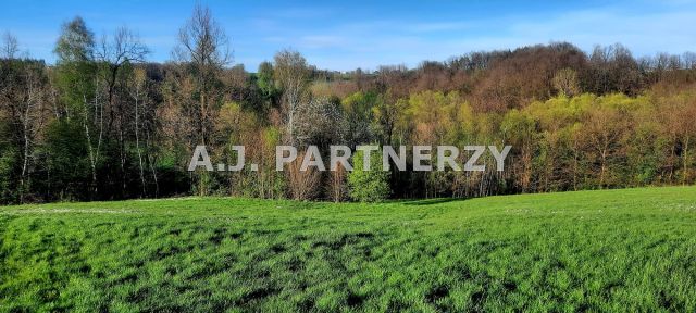 Działka Grabie. Zdjęcie 6