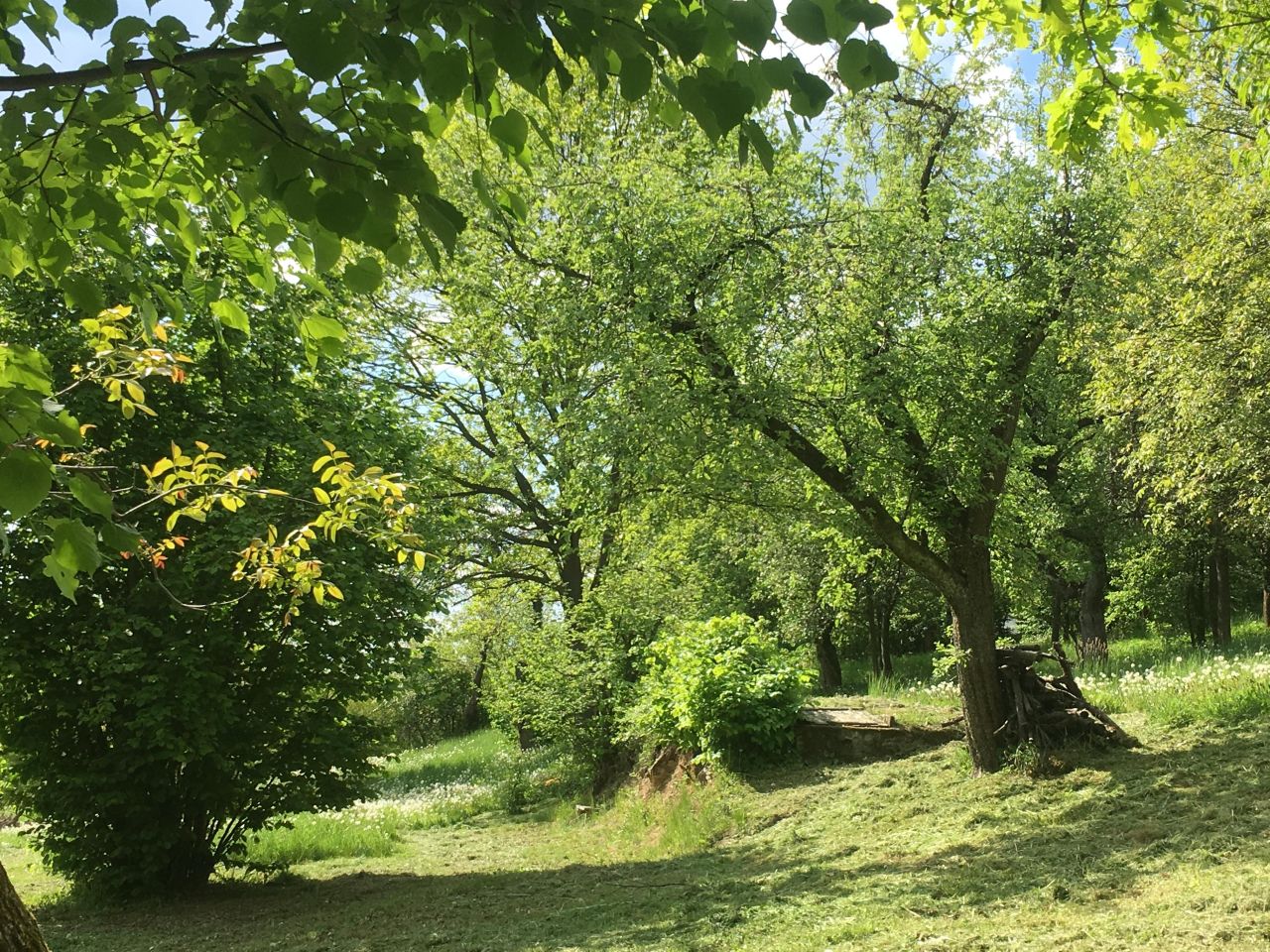 Działka budowlana Podchybie Pochów, ul. Widokowa. Zdjęcie 9