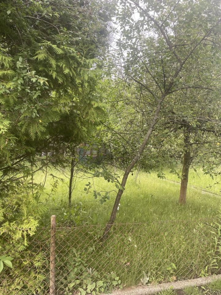 Działka rod Warszawa Siekierki, ul. Nadrzeczna. Zdjęcie 5