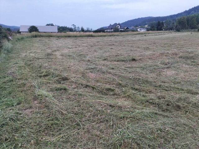 Działka budowlana Królowa Polska. Zdjęcie 1