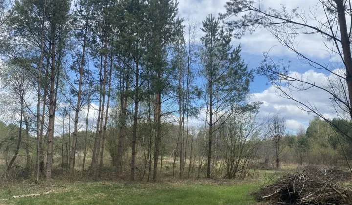 Działka rekreacyjna Szewce