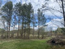 Działka rekreacyjna Szewce