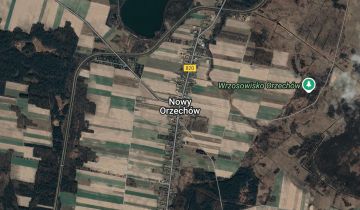 dom letniskowy Nowy Orzechów
