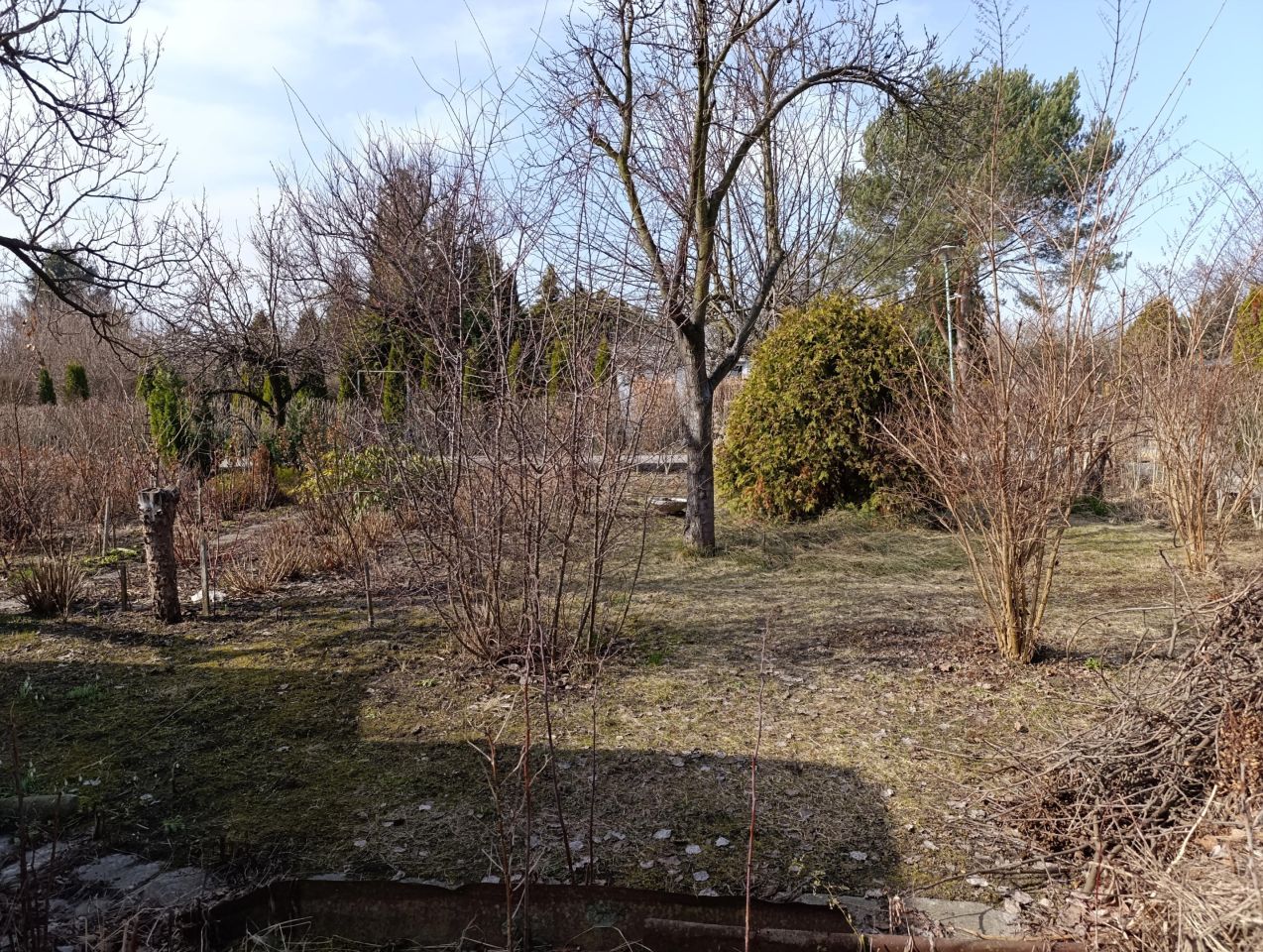 Działka rod Warszawa Włochy, ul. Sasanki. Zdjęcie 8