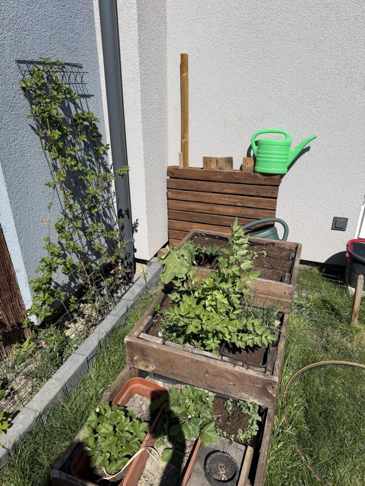 dom szeregowy, 4 pokoje Dobrzykowice, ul. Wiosenna. Zdjęcie 26