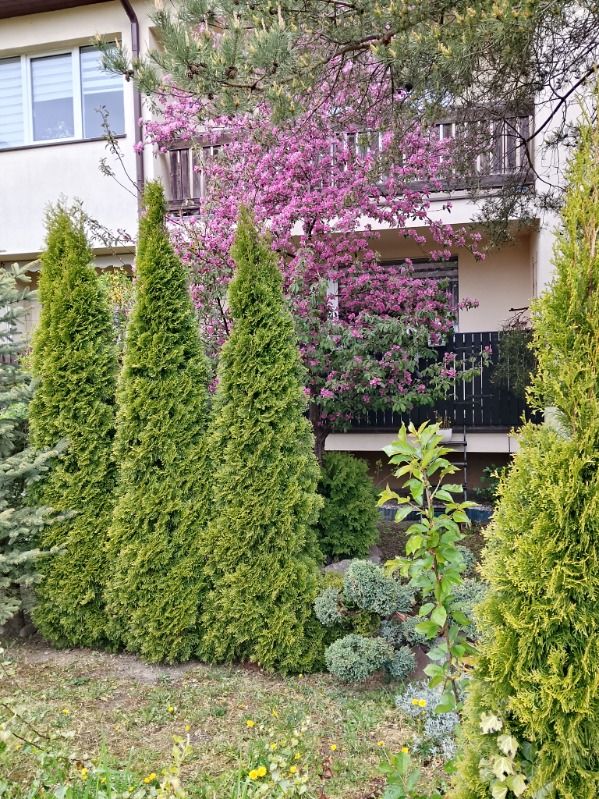 Mieszkanie 3-pokojowe Sierakowice, ul. Kubusia Puchatka. Zdjęcie 13