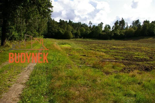 Działka rolna Lejkowo. Zdjęcie 11