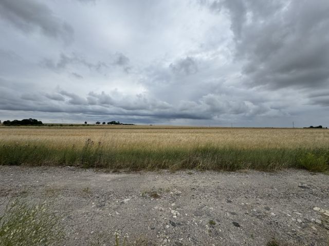 Działka budowlana Białowola. Zdjęcie 1