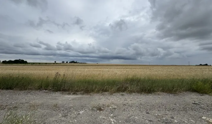 Działka budowlana Białowola