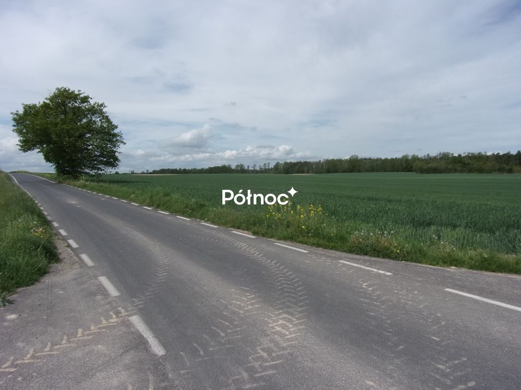 Działka rolna Wartowice. Zdjęcie 3