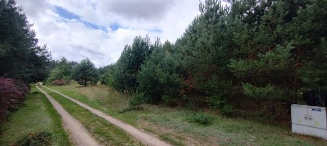 Działka Rokitnica. Zdjęcie 1