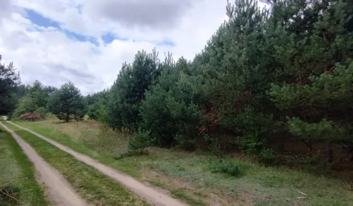 Działka Rokitnica