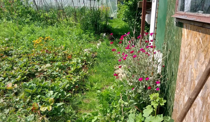 Działka rod Łomża