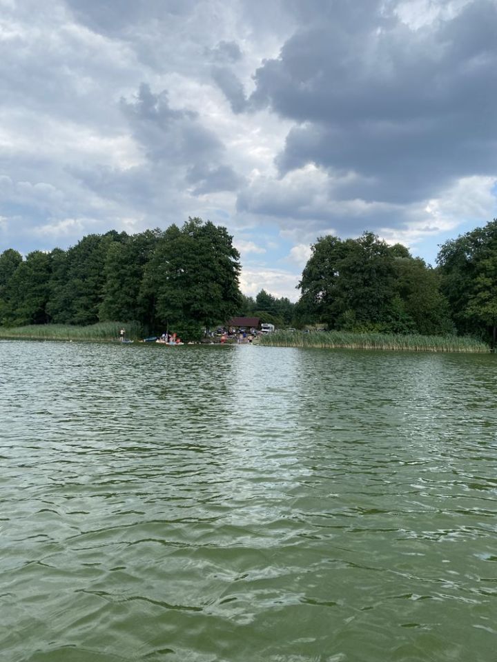 Działka rekreacyjna Dąbrowa. Zdjęcie 6