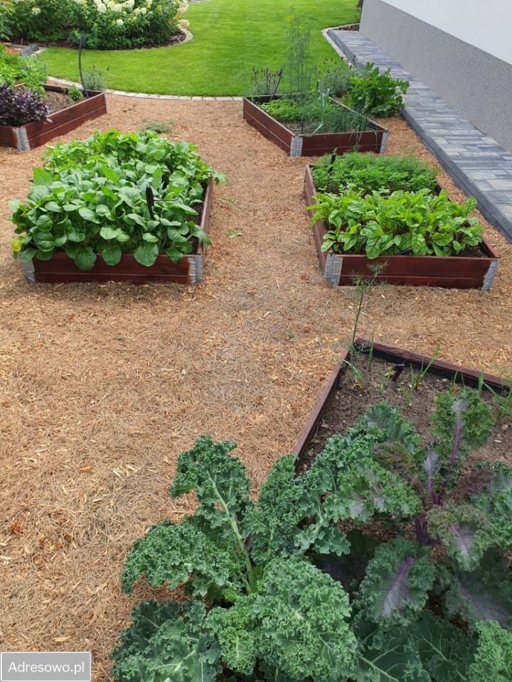 dom wolnostojący, 9 pokoi Michałów-Reginów, ul. Warszawska. Zdjęcie 17