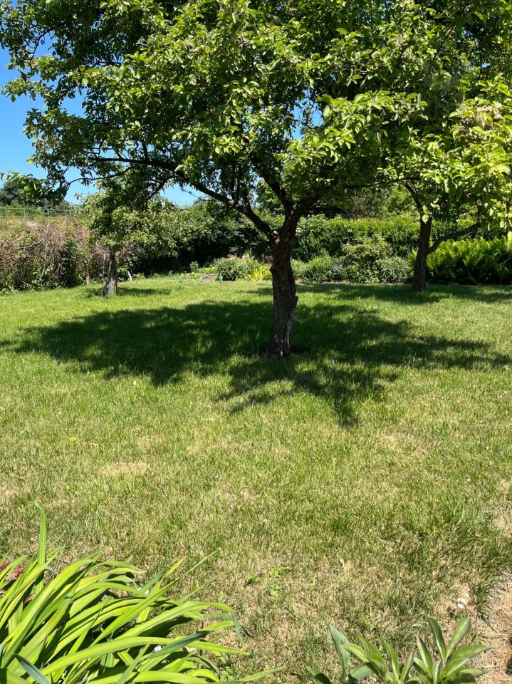 Działka rod Gdańsk Olszynka, ul. Modra. Zdjęcie 3