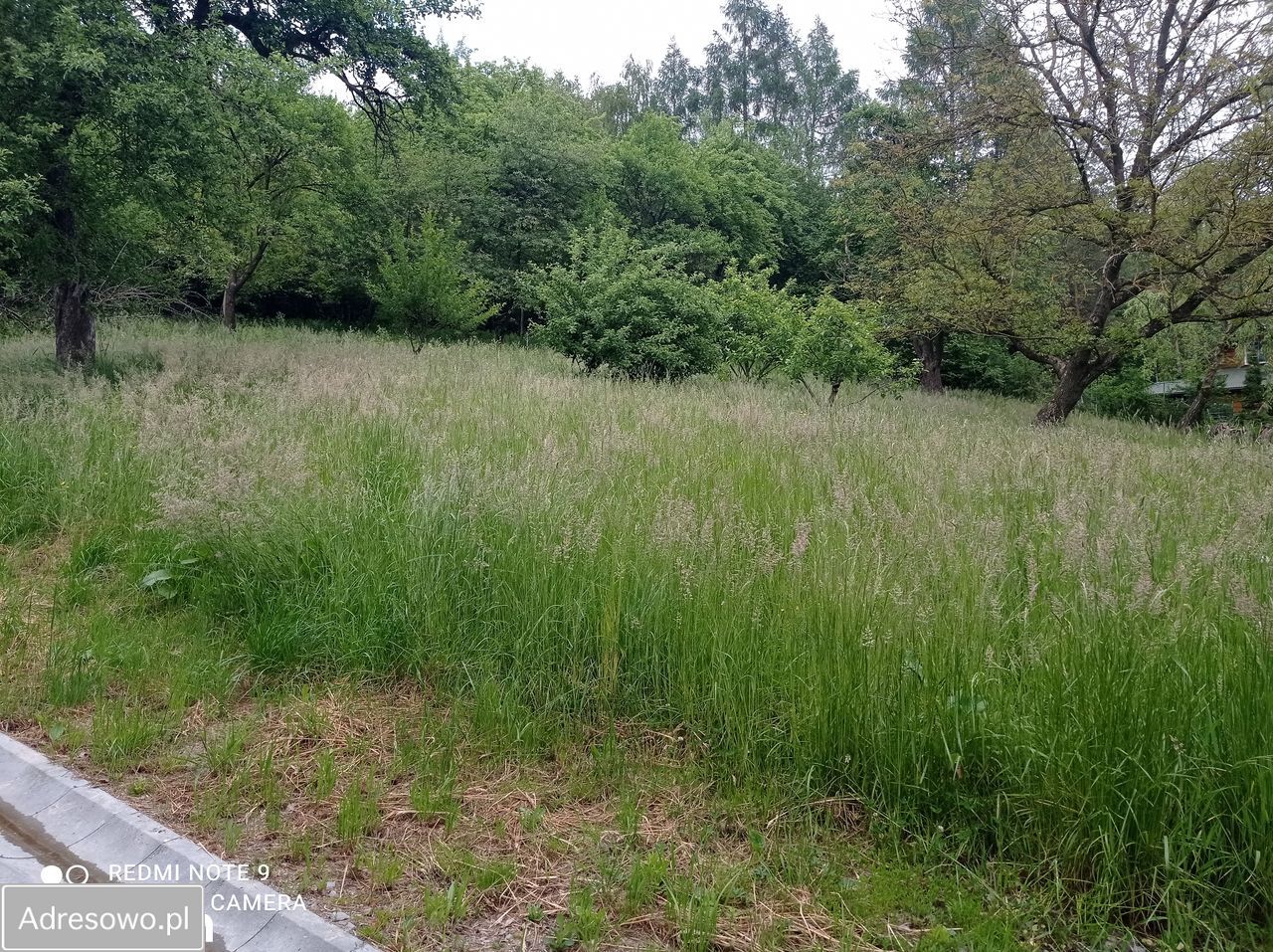 Działka siedliskowa Tarnawka. Zdjęcie 6
