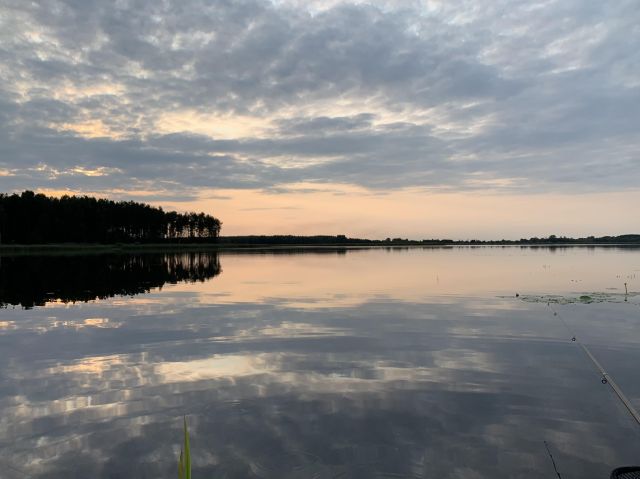 siedlisko Husynne Kątek. Zdjęcie 37