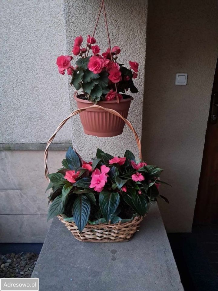 dom szeregowy, 4 pokoje Marki, ul. gen. Józefa Hallera. Zdjęcie 13