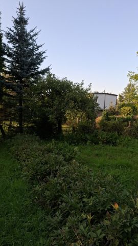 Działka rod Szczecin Bezrzecze, ul. Waleriana Łukasińskiego. Zdjęcie 2