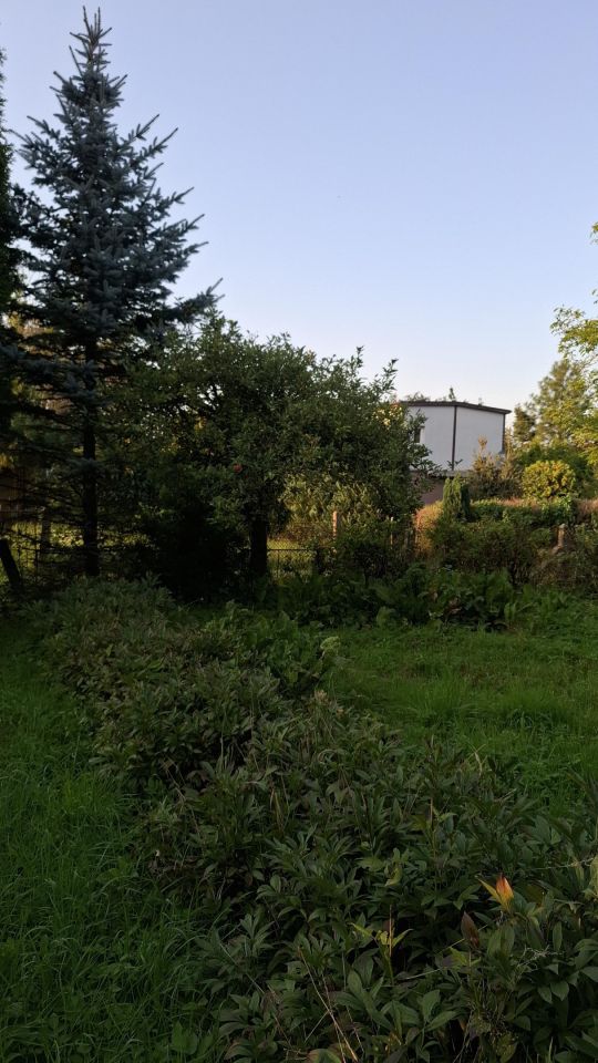 Działka rod Szczecin Bezrzecze, ul. Waleriana Łukasińskiego. Zdjęcie 2