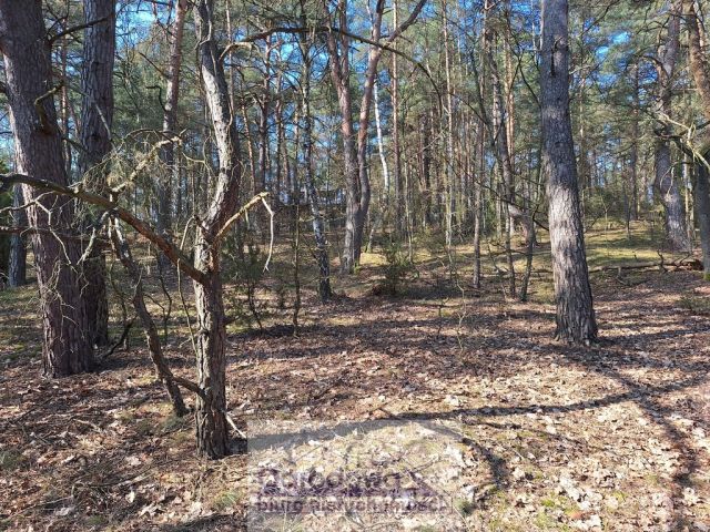 Działka rekreacyjna Urle. Zdjęcie 3