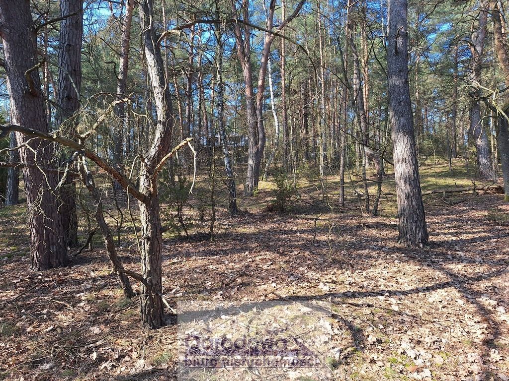 Działka rekreacyjna Urle. Zdjęcie 3