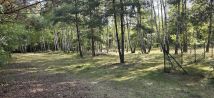 Działka Zofiówka, ul. Szumna. Zdjęcie 1
