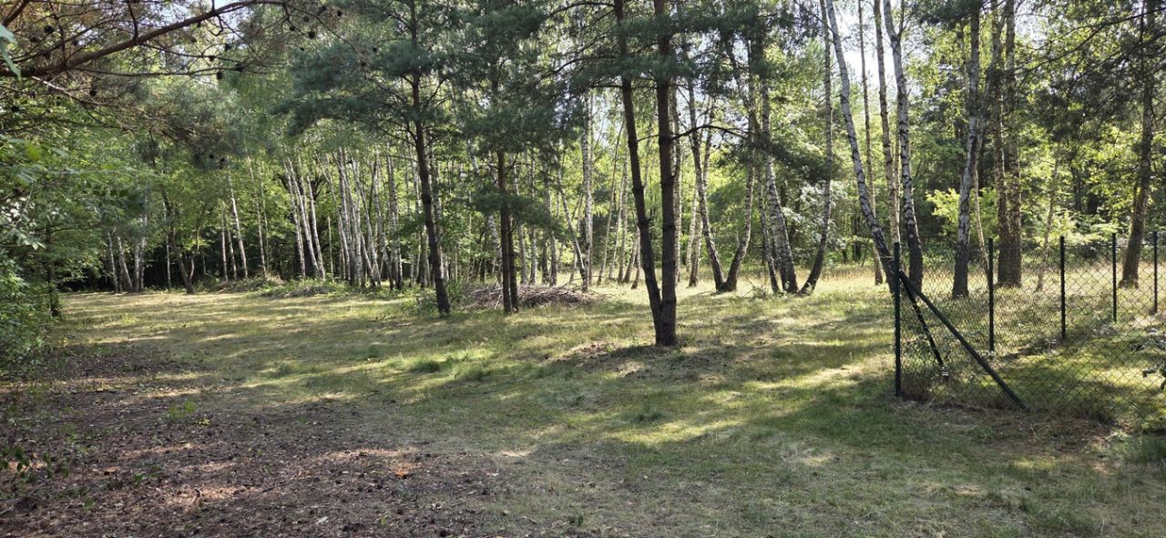 Działka Zofiówka, ul. Szumna. Zdjęcie 2