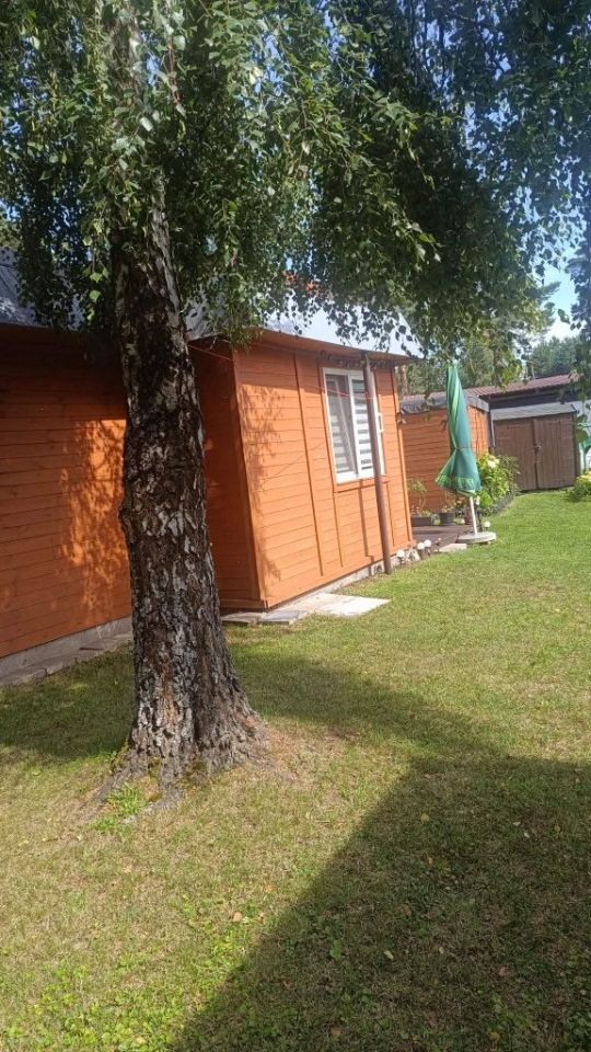 Działka rekreacyjna Osiny. Zdjęcie 5