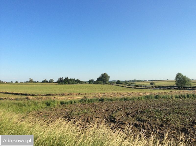 Działka rolna Niegoszcz. Zdjęcie 10