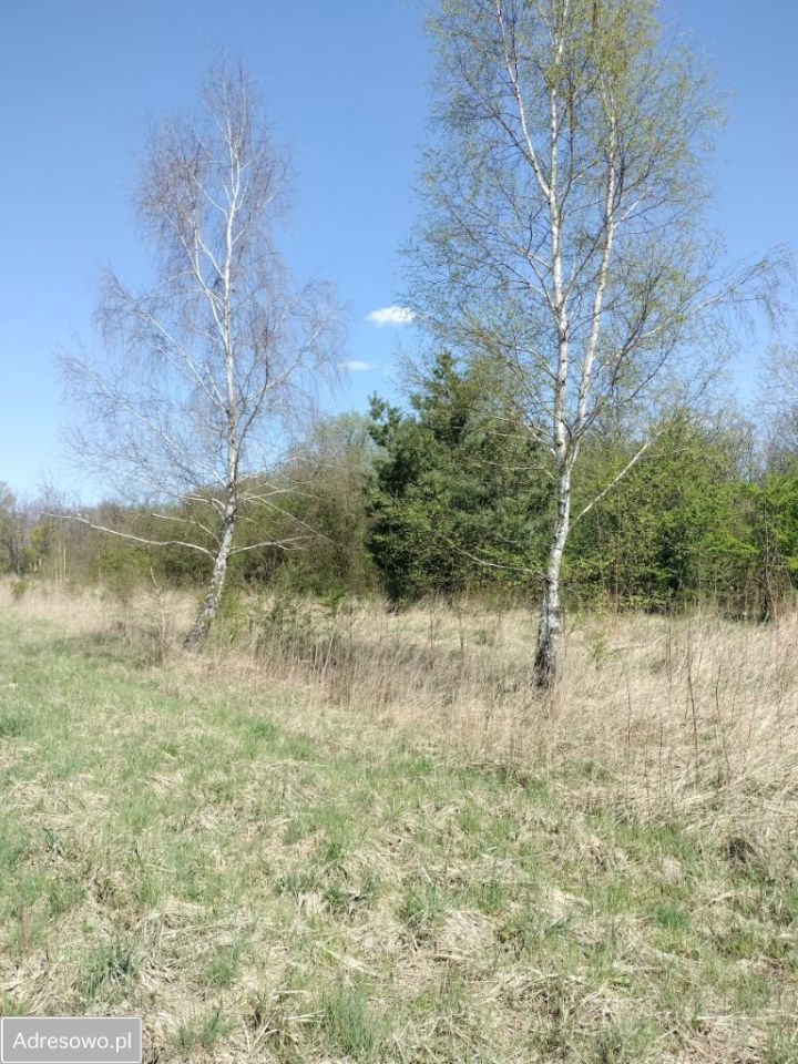 Działka rolno-budowlana Chorzenice, ul. Nowa. Zdjęcie 4