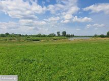 Działka rekreacyjna Morzyczyn-Włóki. Zdjęcie 2