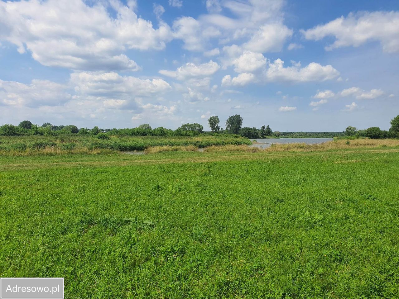 Działka rekreacyjna Morzyczyn-Włóki. Zdjęcie 3