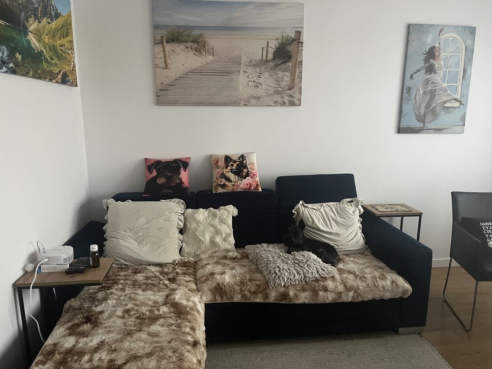 Mieszkanie 3-pokojowe Iława, ul. Franciszka Smolki. Zdjęcie 5