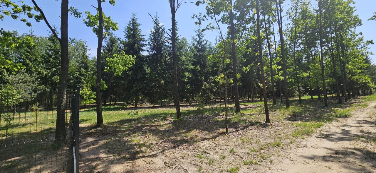 Działka budowlana Studnie. Zdjęcie 6