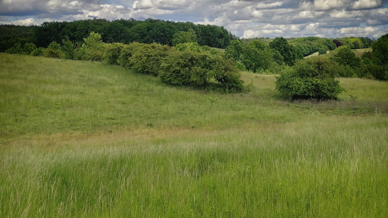 Działka rolna Łęgowo. Zdjęcie 6