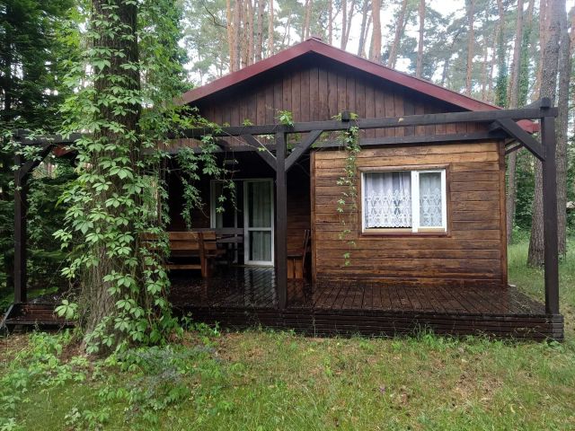 Działka budowlana Sokolniki-Las. Zdjęcie 1