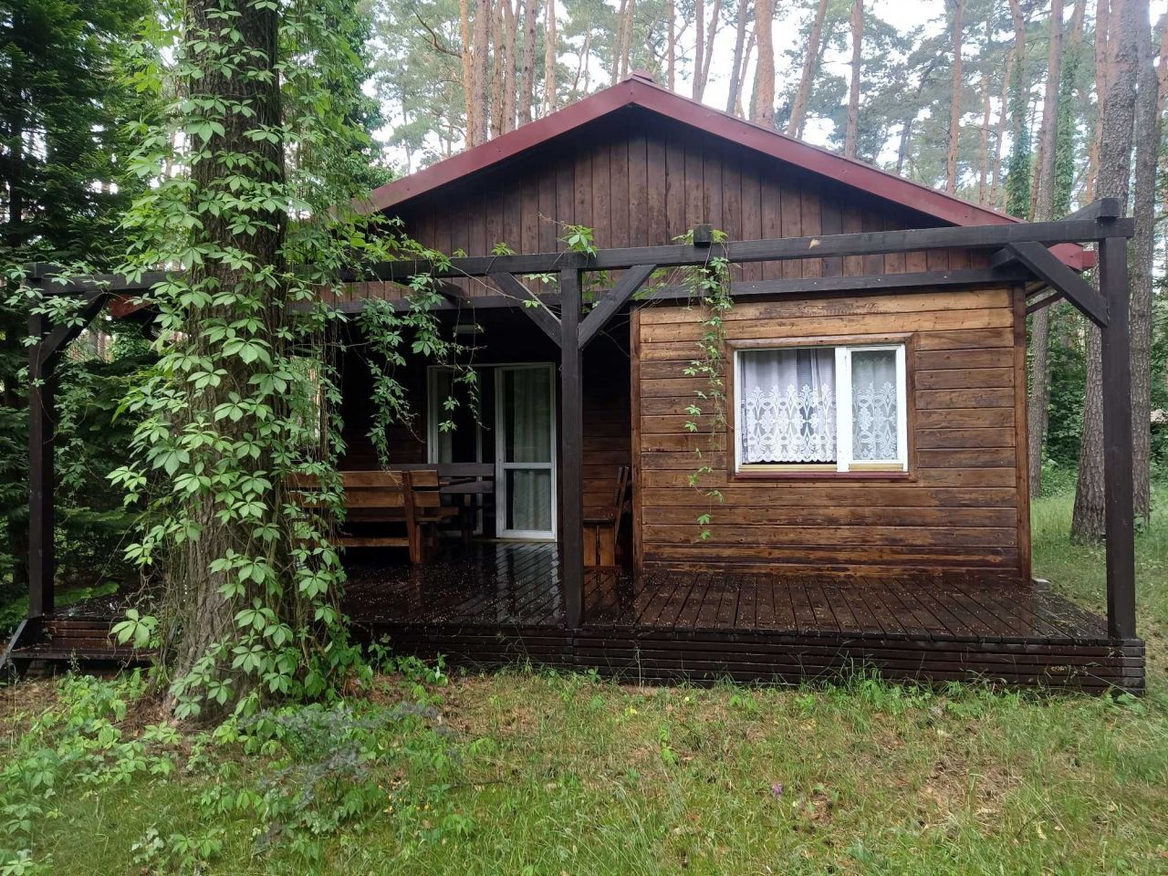 Działka budowlana Sokolniki-Las