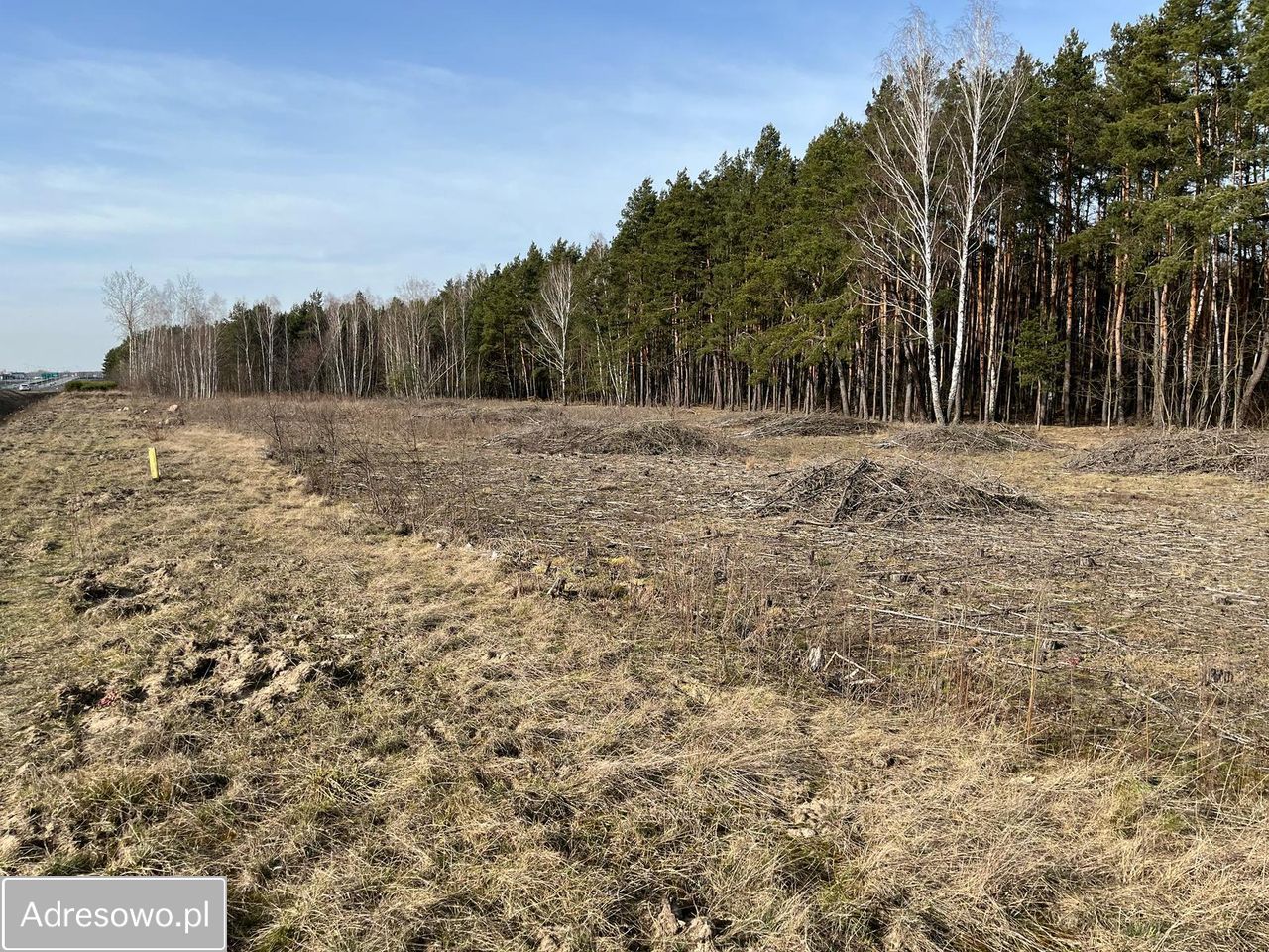 Działka inwestycyjna Wola Karczewska, ul. Rutki. Zdjęcie 4