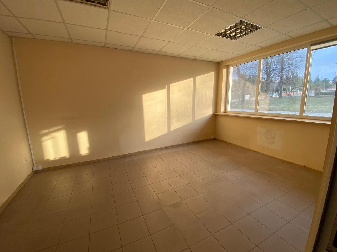 Lokal Kolbuszowa, ul. Sokołowska. Zdjęcie 4