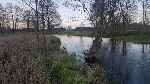Działka rolna Białobrzeg Dalszy. Zdjęcie 1