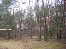 Działka rolna Helenów. Zdjęcie 2