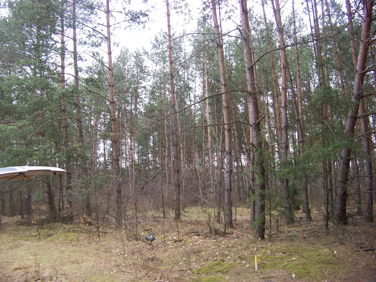 Działka rolna Helenów. Zdjęcie 3